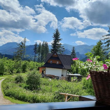 Goralska Chata Przy Dolinie Chocholowskiej Witów المظهر الخارجي الصورة