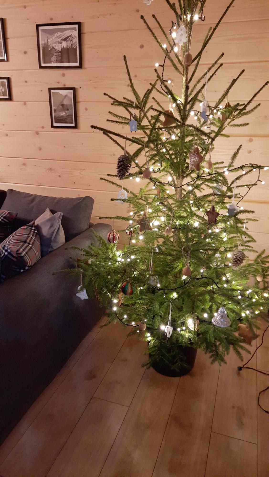 Goralska Chata Przy Dolinie Chocholowskiej Witów المظهر الخارجي الصورة