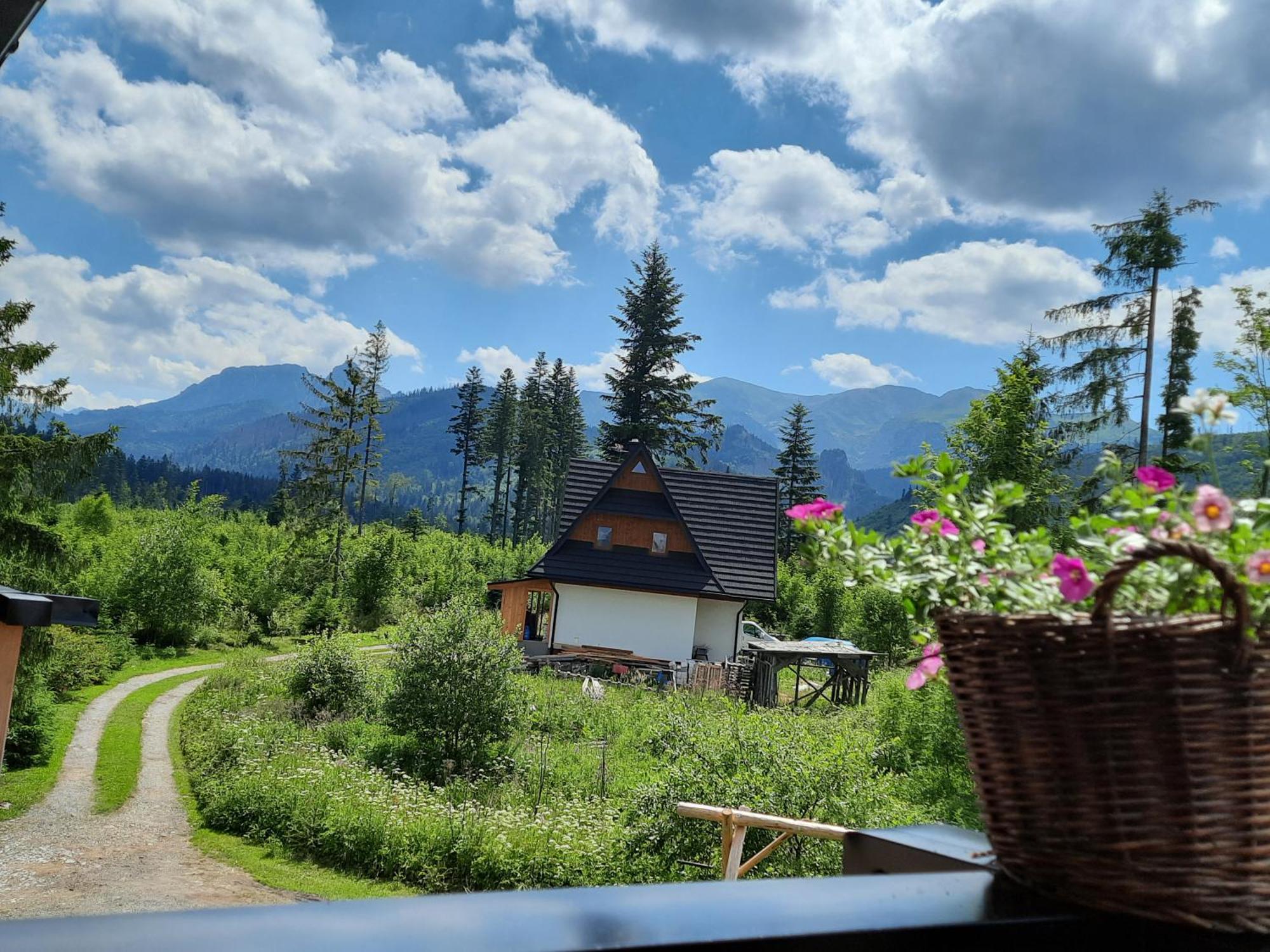 Goralska Chata Przy Dolinie Chocholowskiej Witów المظهر الخارجي الصورة