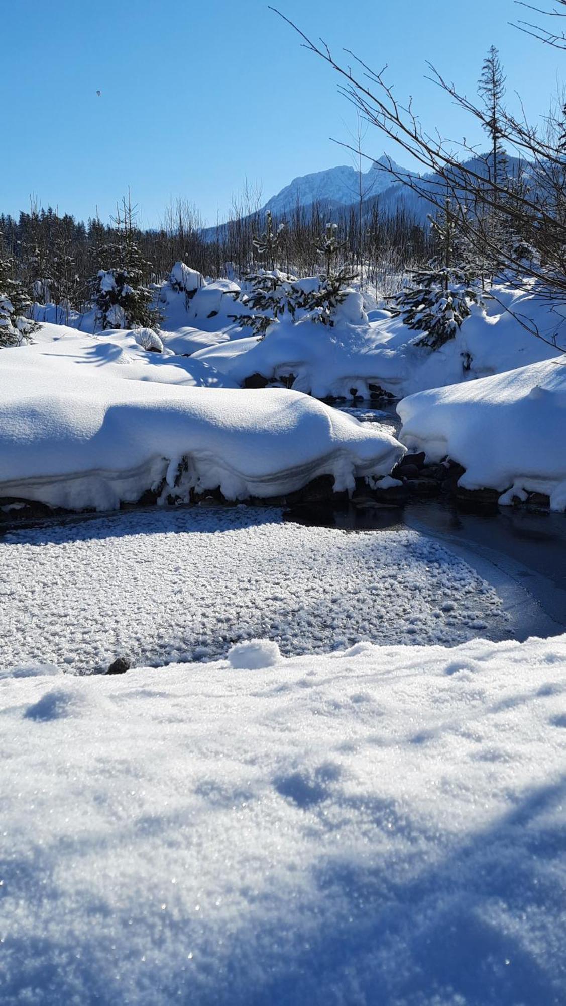 Goralska Chata Przy Dolinie Chocholowskiej Witów المظهر الخارجي الصورة
