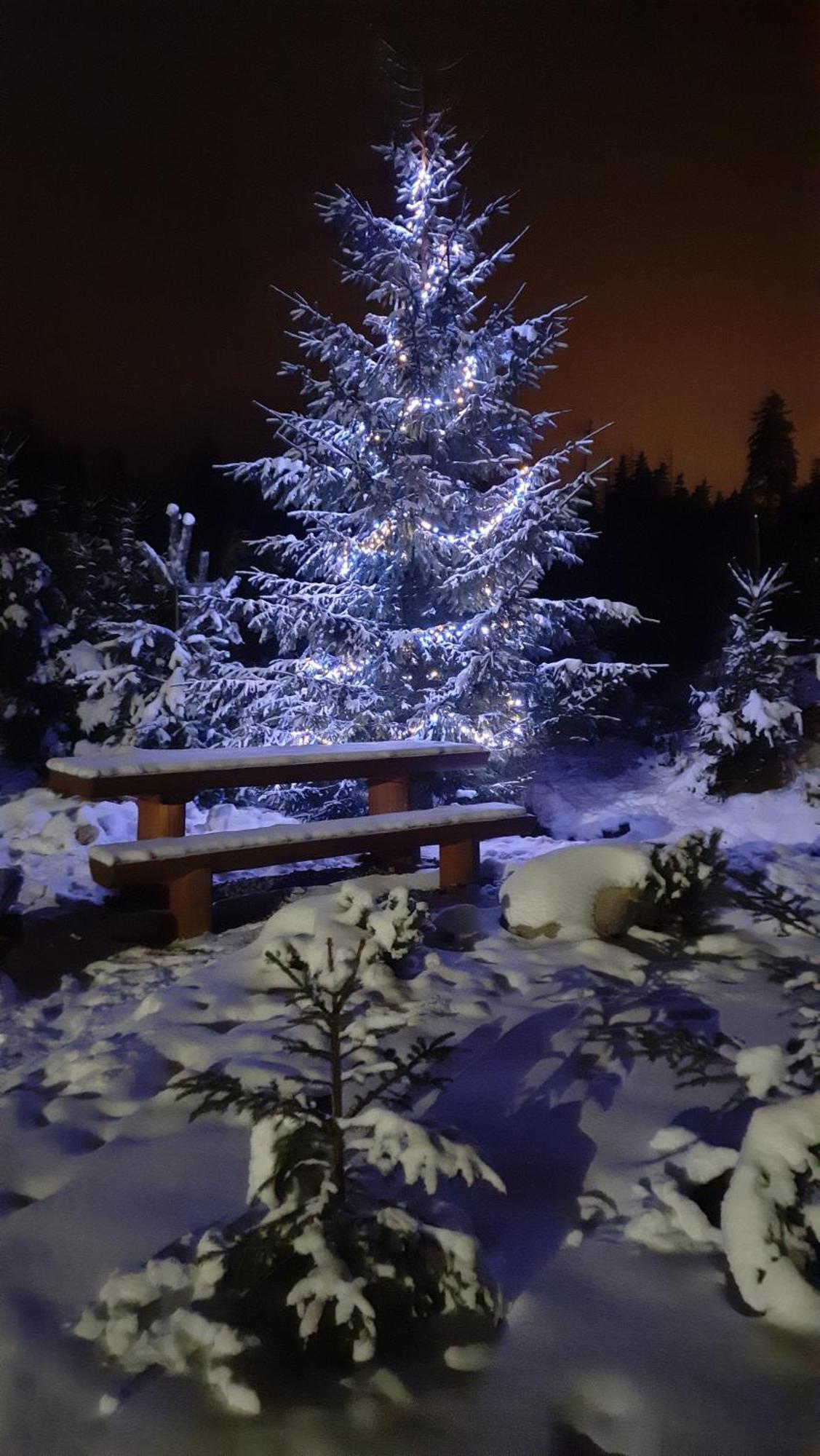 Goralska Chata Przy Dolinie Chocholowskiej Witów المظهر الخارجي الصورة