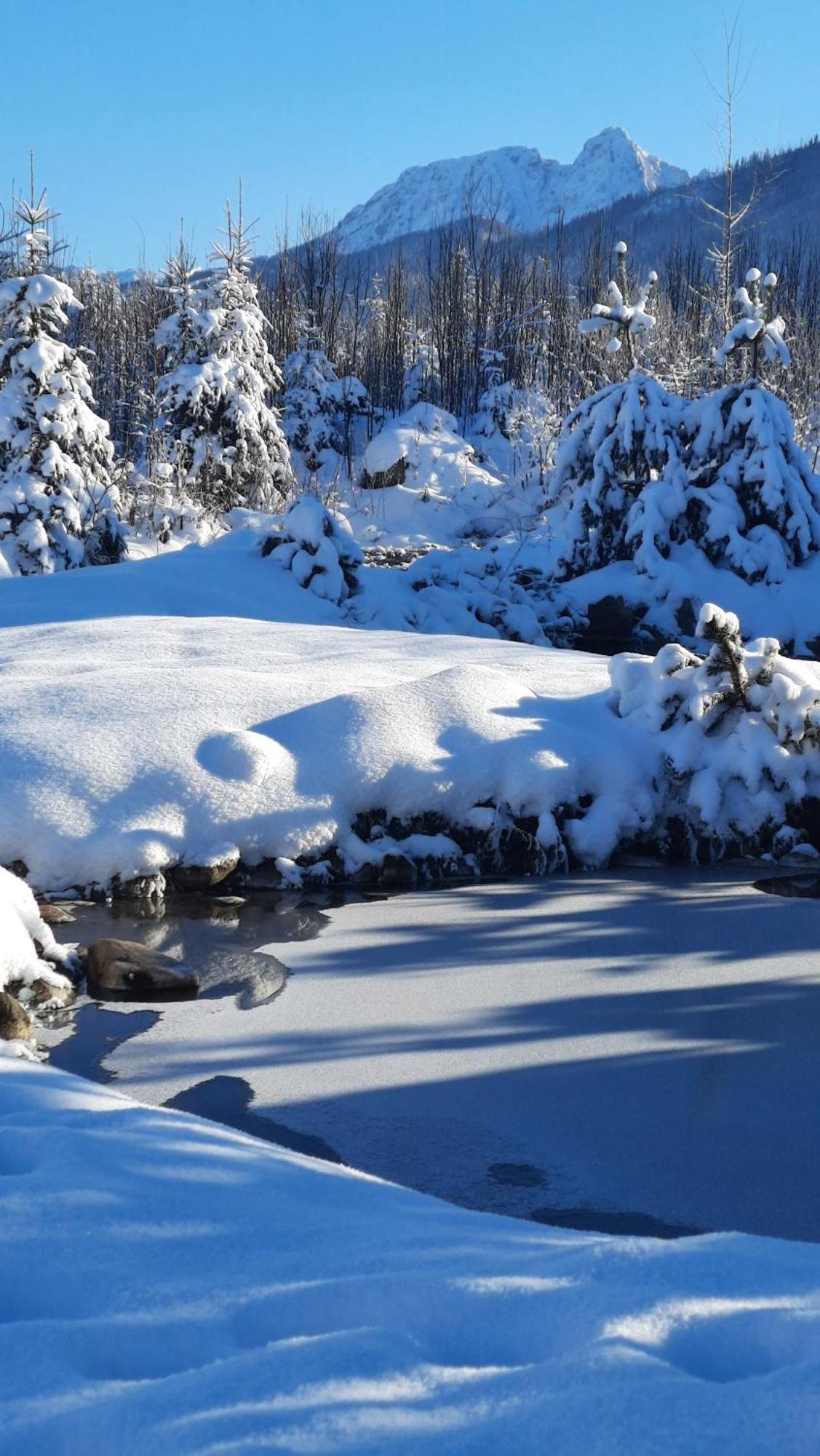 Goralska Chata Przy Dolinie Chocholowskiej Witów المظهر الخارجي الصورة