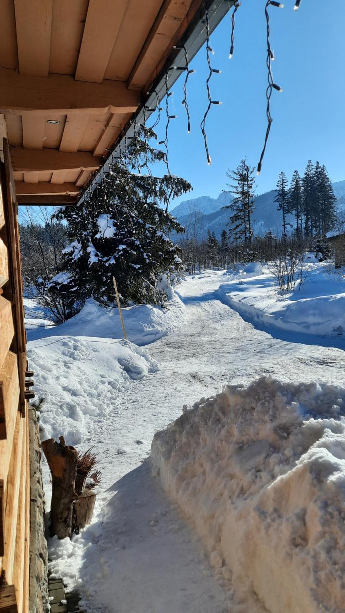 Goralska Chata Przy Dolinie Chocholowskiej Witów المظهر الخارجي الصورة