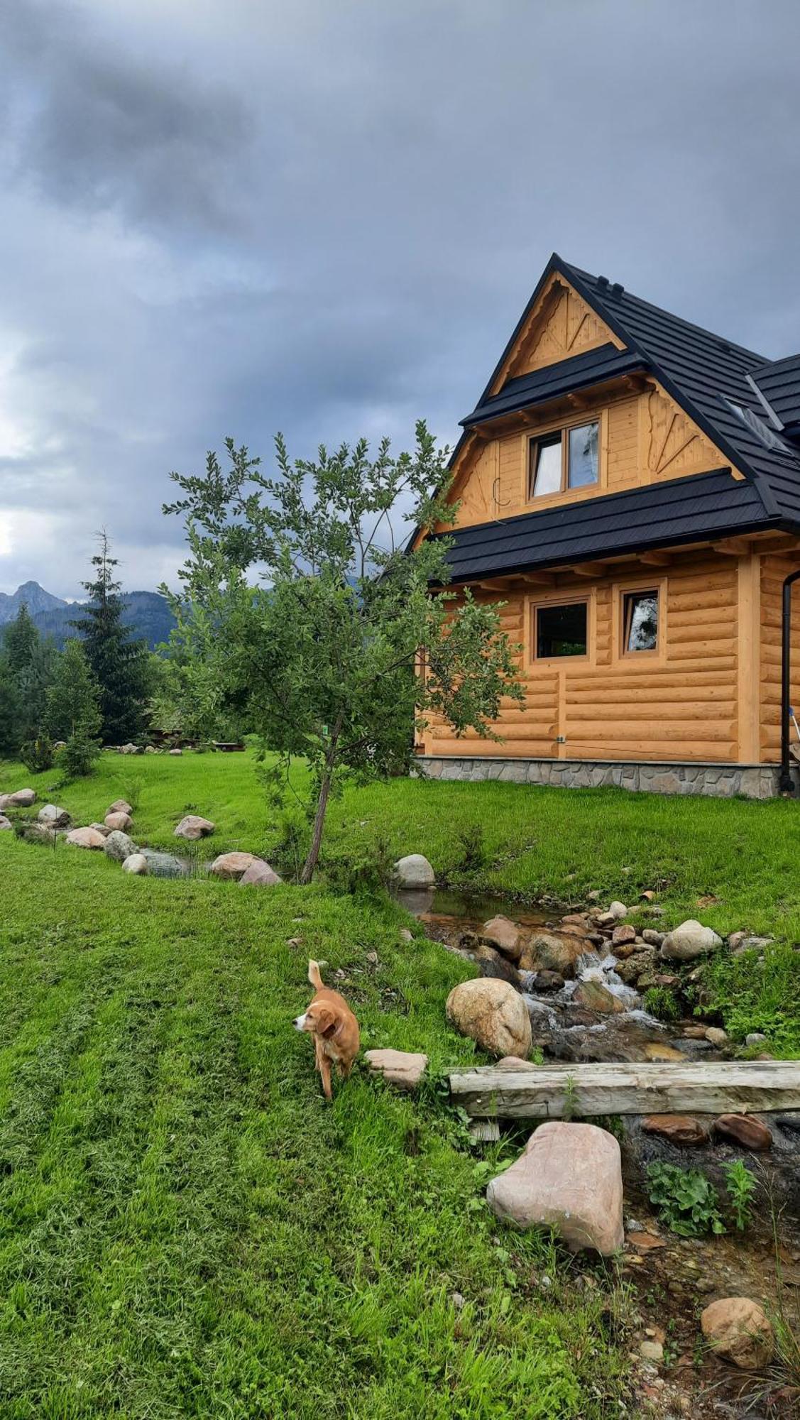 Goralska Chata Przy Dolinie Chocholowskiej Witów المظهر الخارجي الصورة