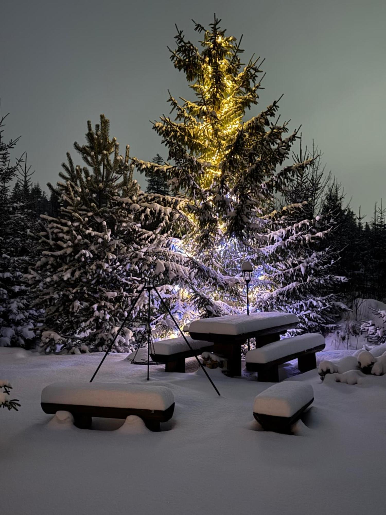 Goralska Chata Przy Dolinie Chocholowskiej Witów المظهر الخارجي الصورة